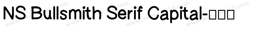NS Bullsmith Serif Capital字体转换